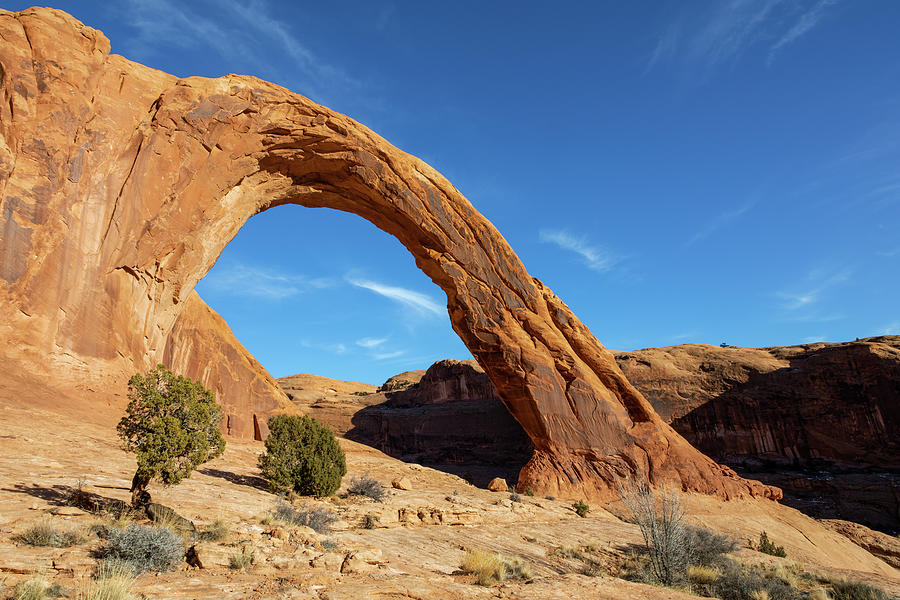 Corona Arch Photograph by James Marvin Phelps - Fine Art America