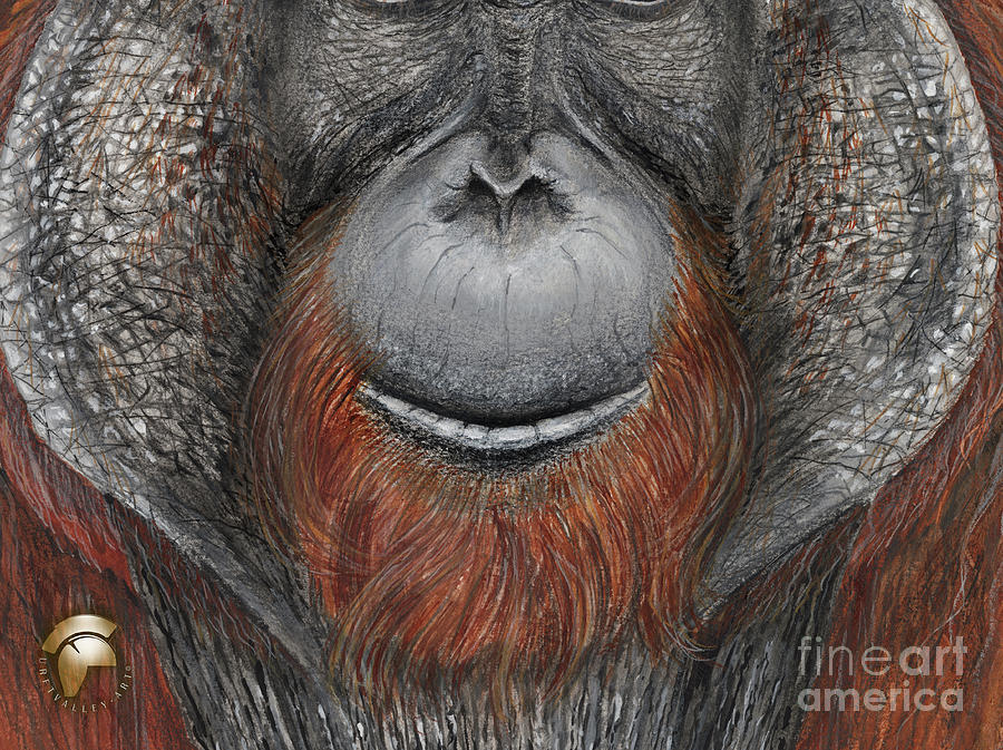 Face Mask Mouth - Lips - Orangutan - Great Ape Painting