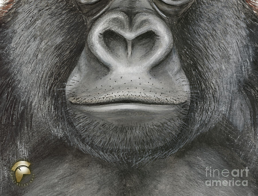 Face Mask Mouth - Lips - Gorilla - Great Ape Painting