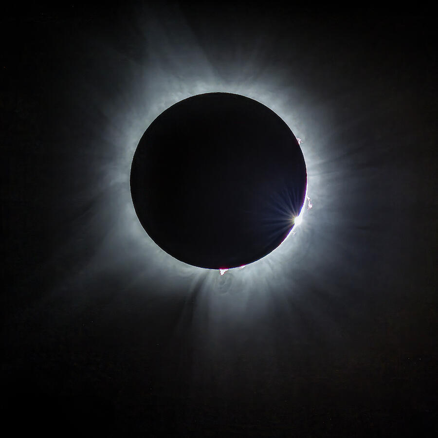 Corona Starburst Eclipse 2024 Photograph by Lee and Renee Walsh Corona Starburst Eclipse 2024 Photograph by Lee and Renee Walsh
