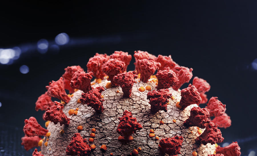 Corona virus close up Photograph by Radoslav  Zilinsky