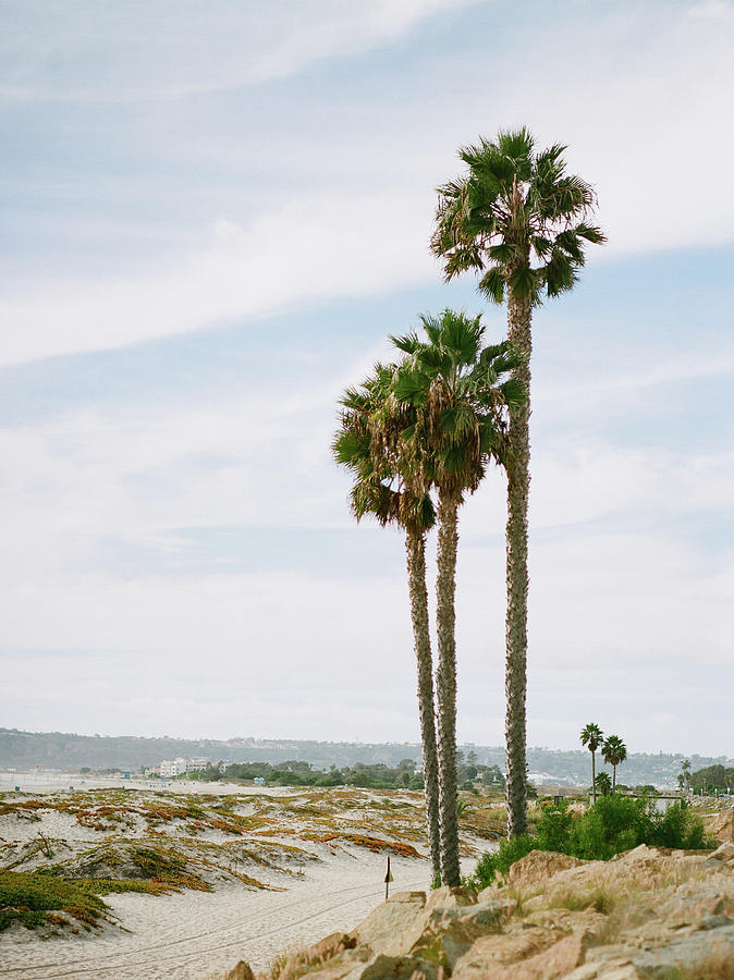 Coronado Beach in San Diego, California, USA Photograph by Tanya Isaeva ...