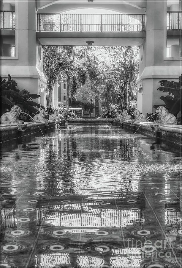 Orlando Fountain Grayscale Photograph by Jennifer White