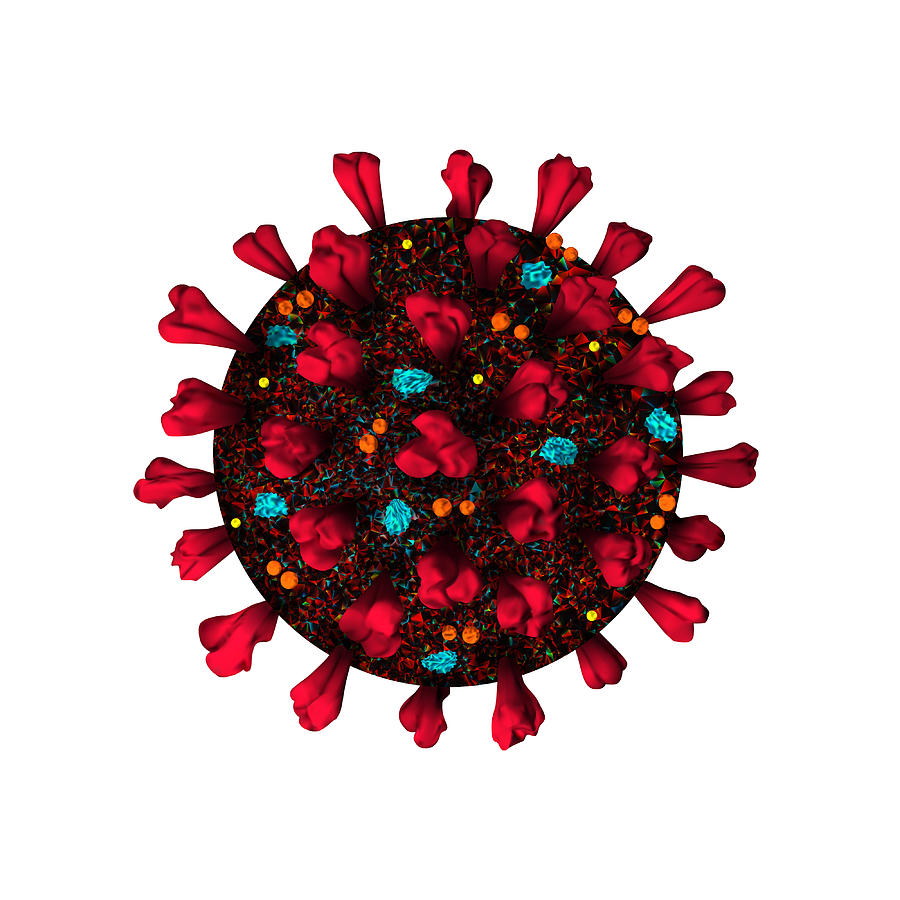 Coronavirus 3d realistic model isolated on white background. Coronavirus cell, wuhan virus disease Drawing by Ayvengo