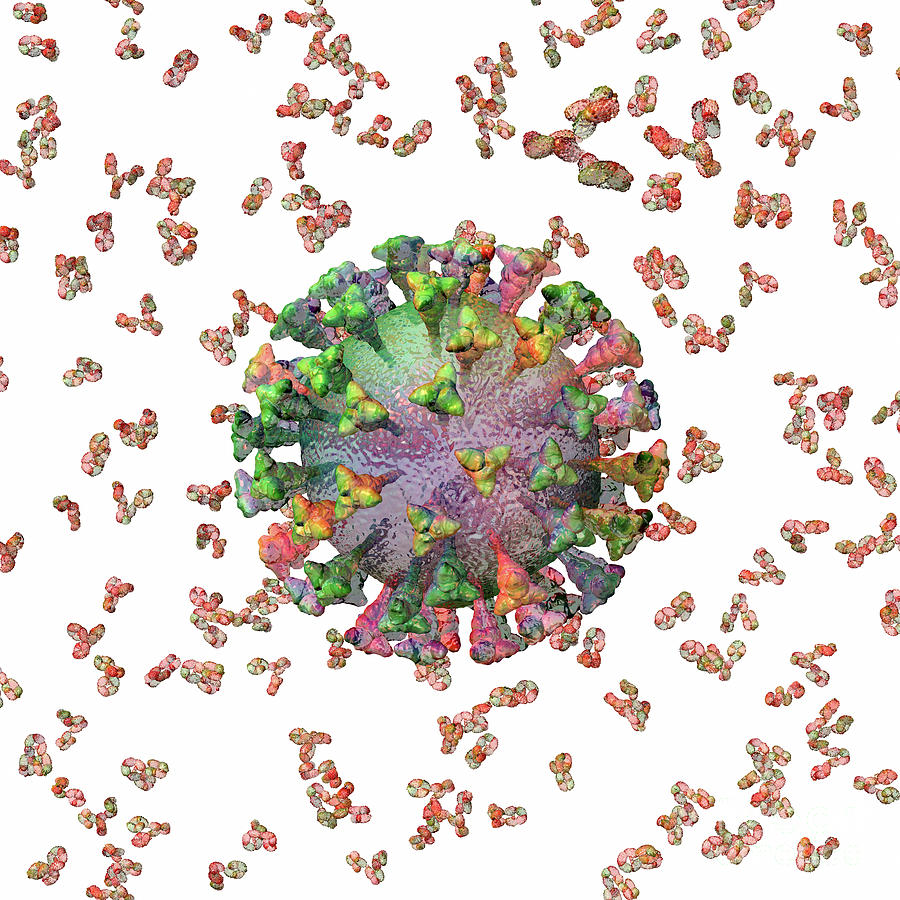 Antibodies Digital Art - Coronavirus Antibodies White by Russell Kightley