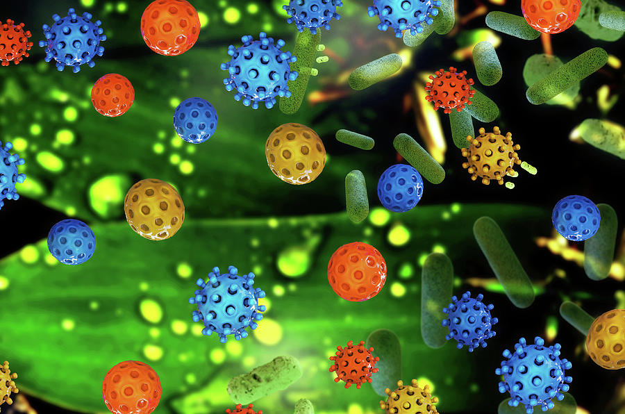 Coronavirus group 3D illustration Digital Art by Xt Render - Fine Art ...