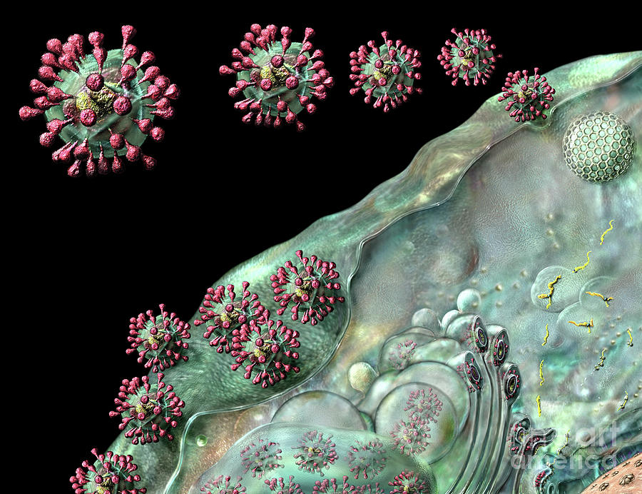 Coronavirus Life Cycle on Black Digital Art by Russell Kightley