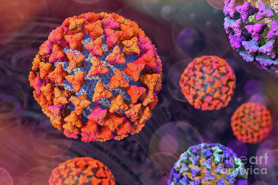 Coronavirus Particles on Cell Background Digital Art by Russell Kightley