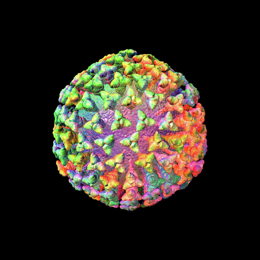 Coronavirus Rainbow on Black Digital Art by Russell Kightley