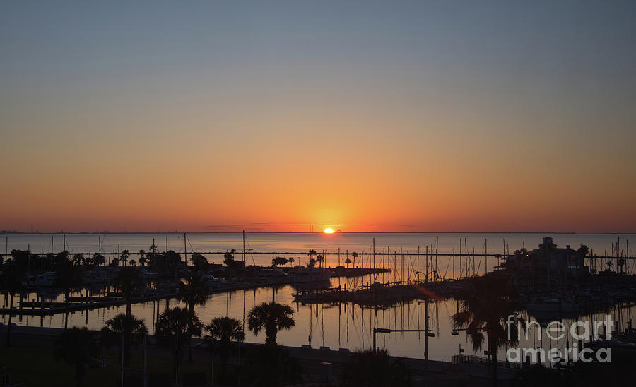Corpus Christi Marina Sunrise Photograph by Andrea Anderegg