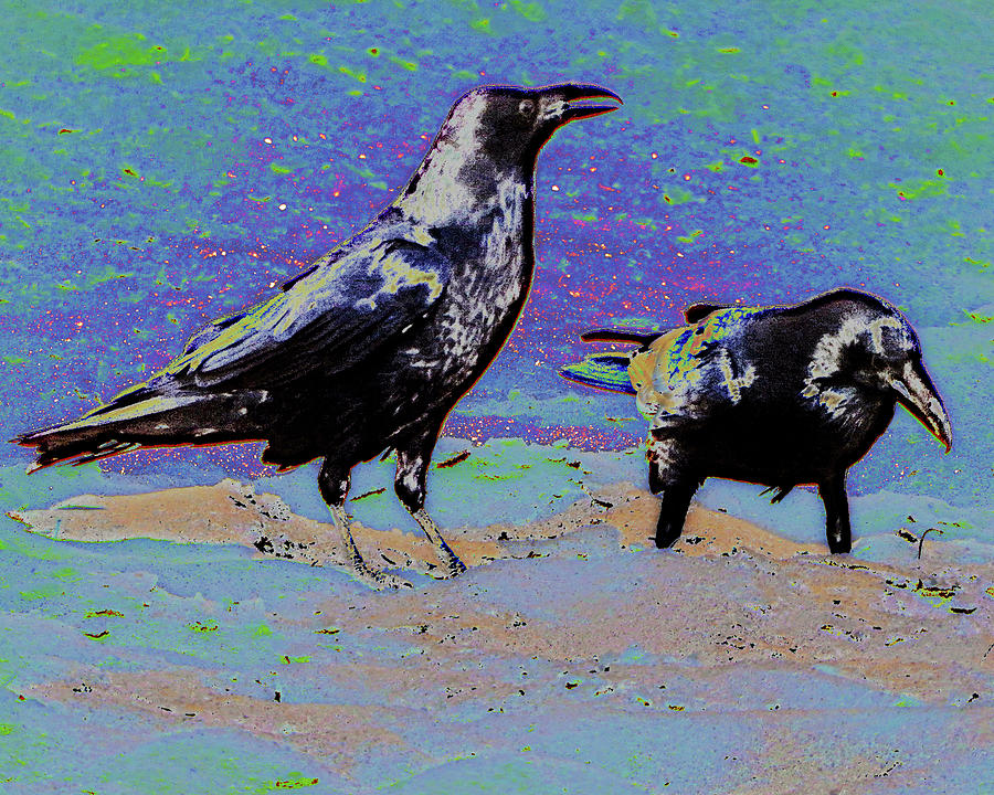 Corral Crows Fantasy Photograph by Andrew Lawrence