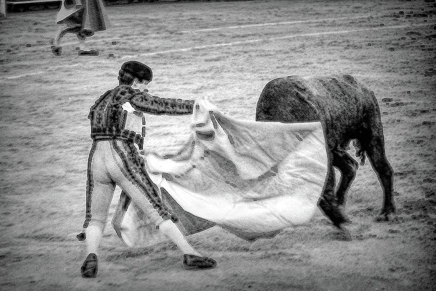 Corrida Action 1  Cape Work Photograph by Jerry Griffin