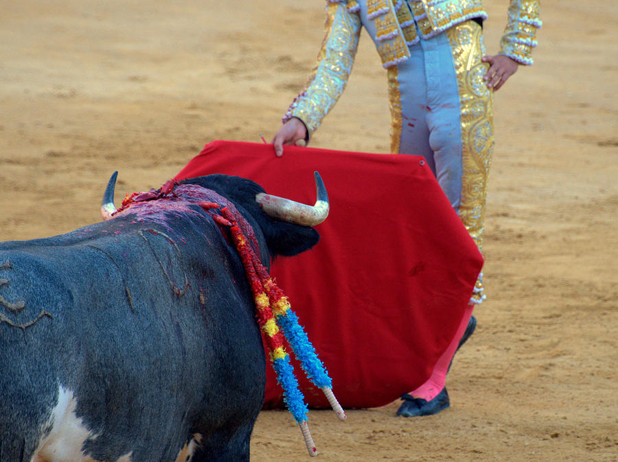 Corrida bullfighter Photograph by Miguel Sotomayor