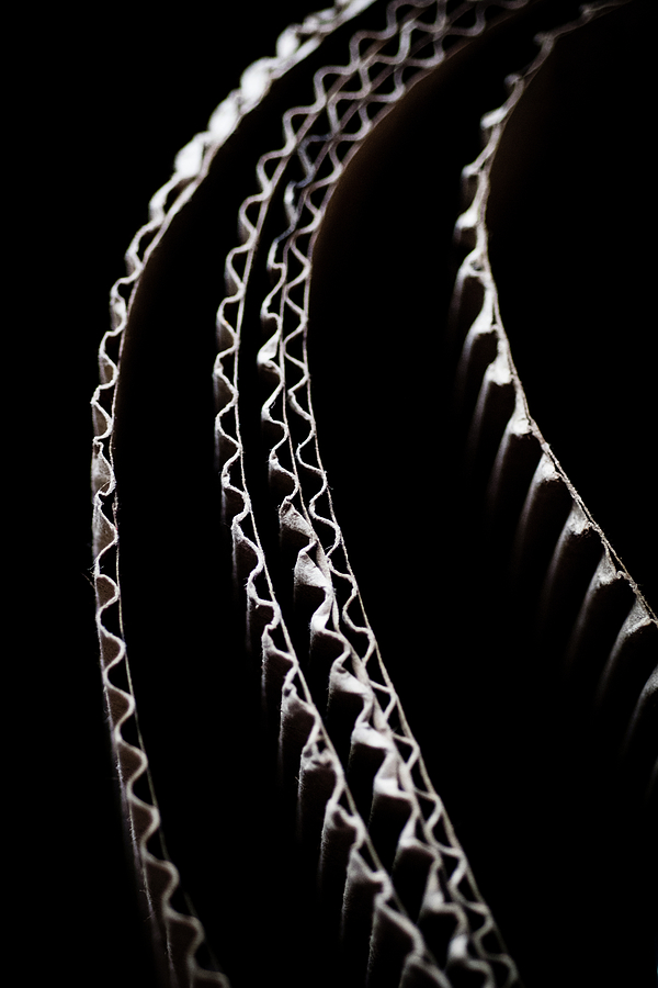 Corrugated Curve Photograph by Christi Kraft