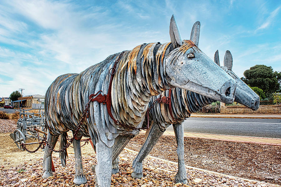 Corrugated Iron Sculpture - Outback Australia Photograph by Lexa Harpell