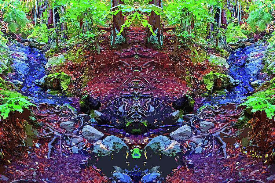 Corte Madera Creek Mirror #2 Artistically Enhanced with Saturated Colors Photograph by Ben Upham III