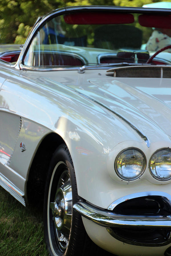 Corvette Photograph by Carolyn Stagger Cokley