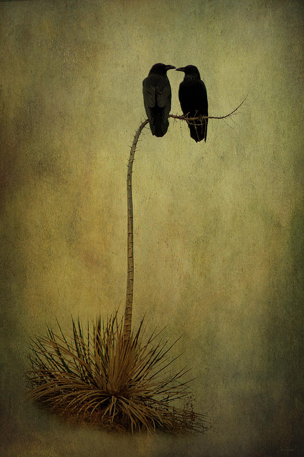Crow Digital Art - Corvid Companions by Nicole Wilde