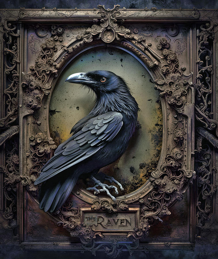 Crow Mixed Media - Corvus Corax by Mal Bray