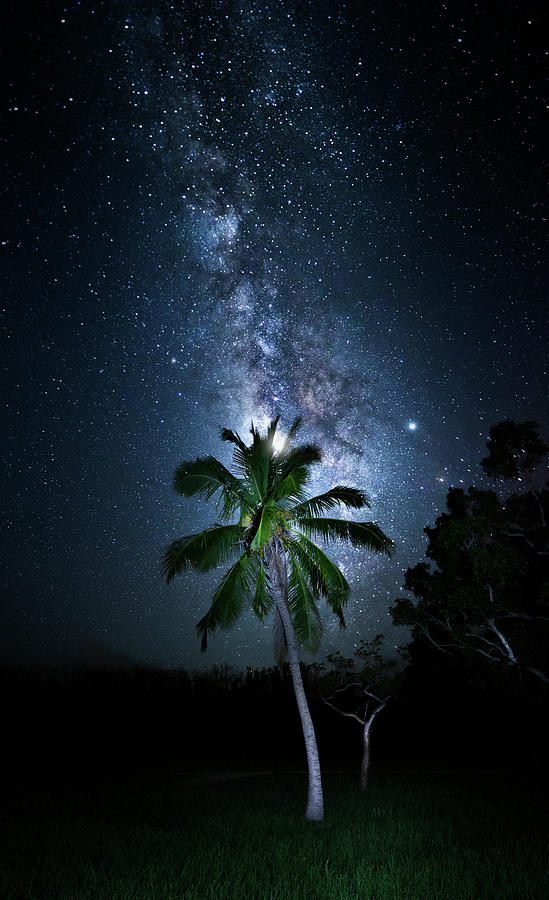 Cosmic Coconuts Photograph by Mark Andrew Thomas