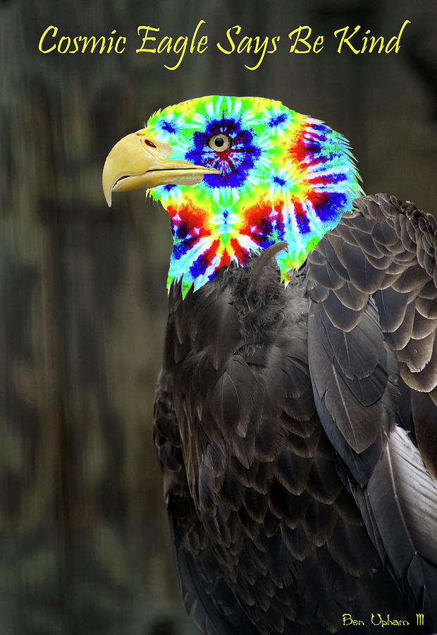 Cosmic Eagle #1 with Text Photograph by Ben Upham III