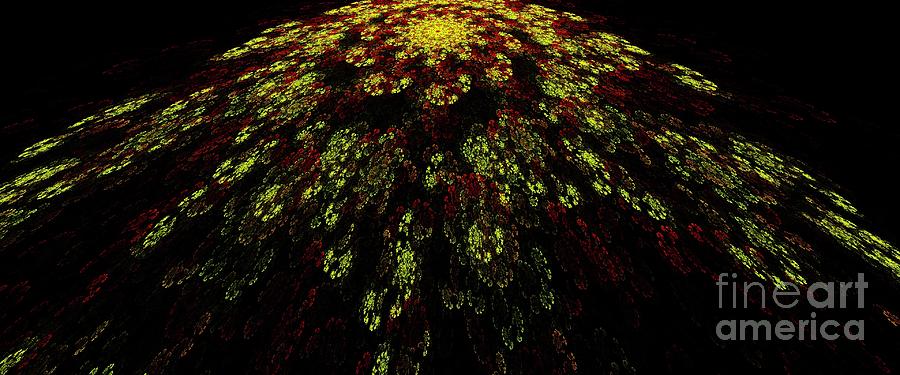 Cosmic Spiraling Of Flowers Digital Art