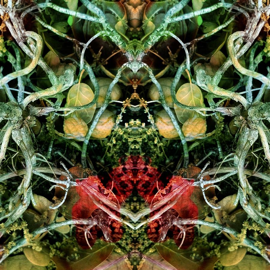Pareidolia Digital Art - Cosmic Wire by Peter Ellis Pareidolia Digital Art - Cosmic Wire by Peter Ellis