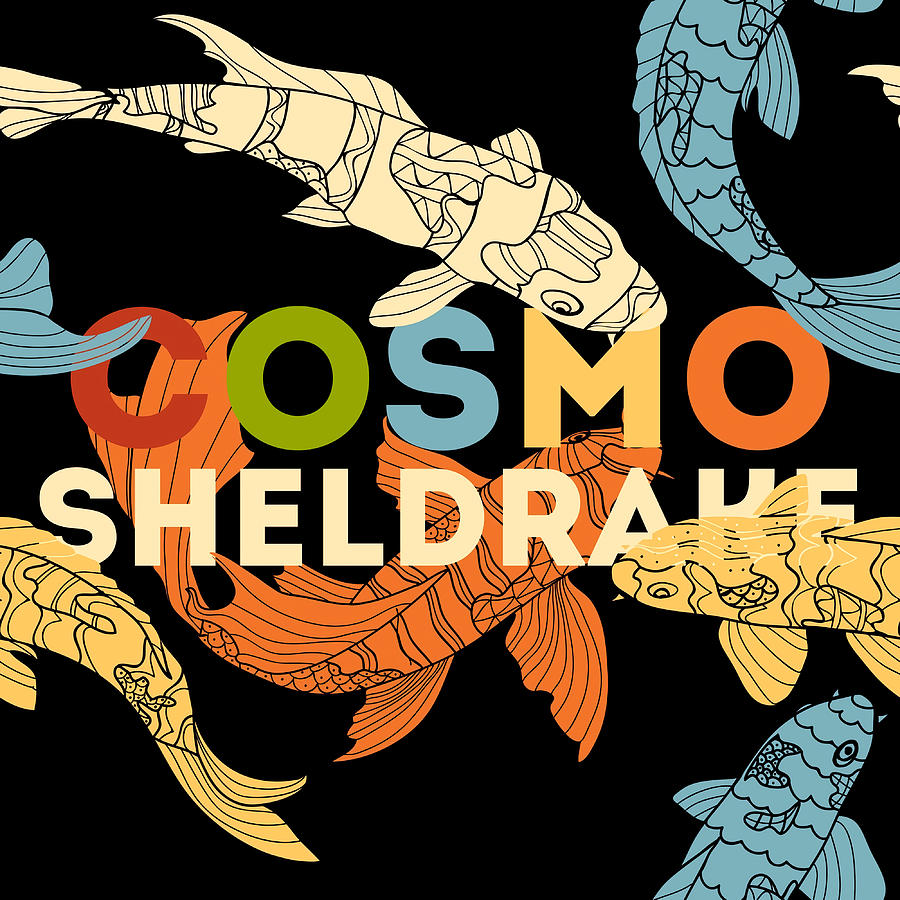 Cosmo sheldrake come along