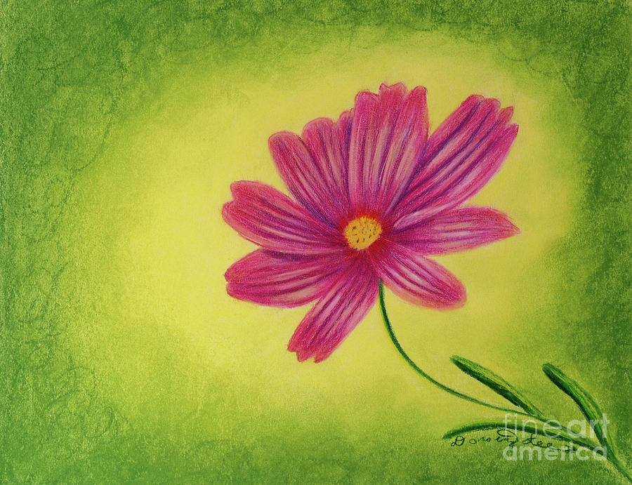 Cosmos Flower Painting By Dorothy Lee Pixels