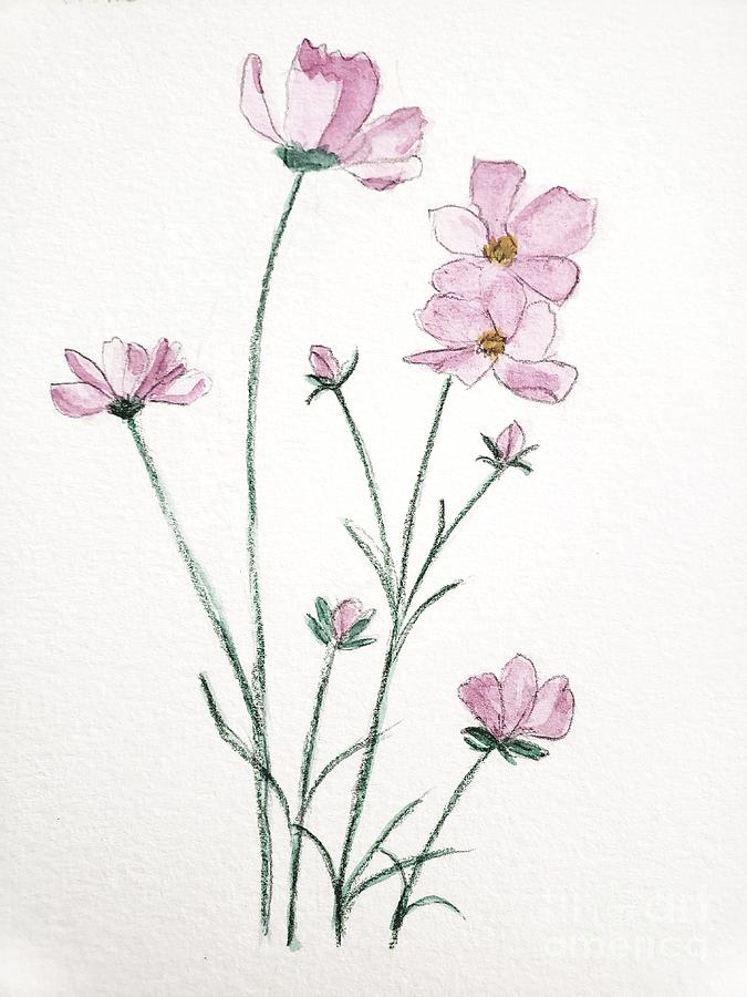 Cosmos Flower Painting by Margaret Welsh Willowsilk