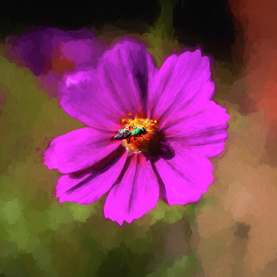 Cosmos Flowers Coreopsideae with Green Orchid Bee 125 by Rich Franco Cosmos Flowers Coreopsideae with Green Orchid Bee 125 by Rich Franco