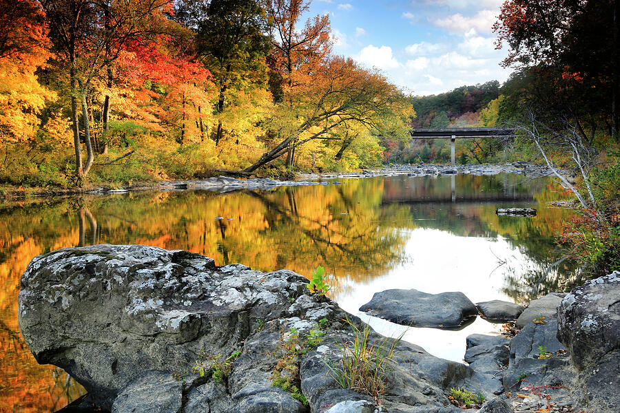 Cossatot River State Park Photograph by William Rainey Cossatot River State Park Photograph by William Rainey
