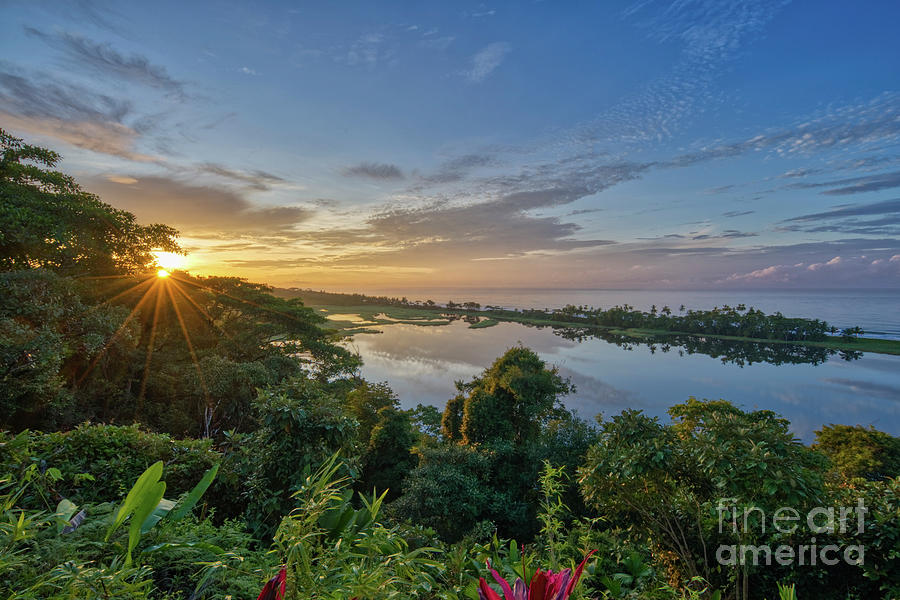 Costa Rica Bursting to Life Photograph by Brian Kamprath