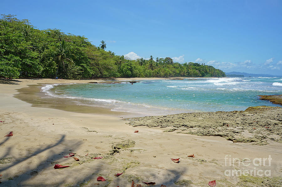 Costa Rica Caribbean beach Photograph by Dam - Fine Art America