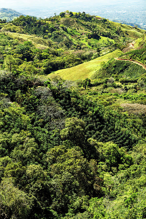 Costa Rica Countryside-008-C Photograph by David Allen Pierson