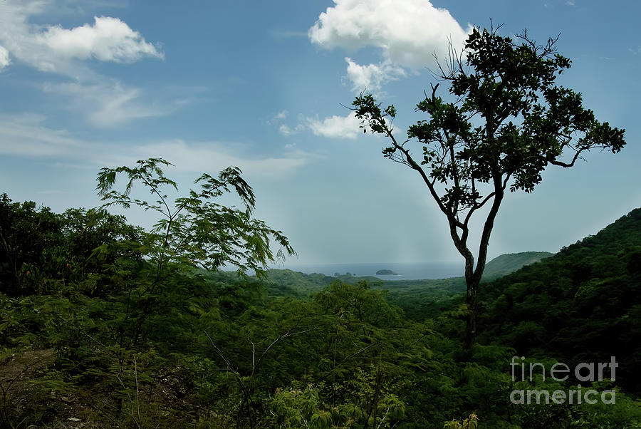 Nature Photograph - Costa Rica Horizon by Ed Taylor