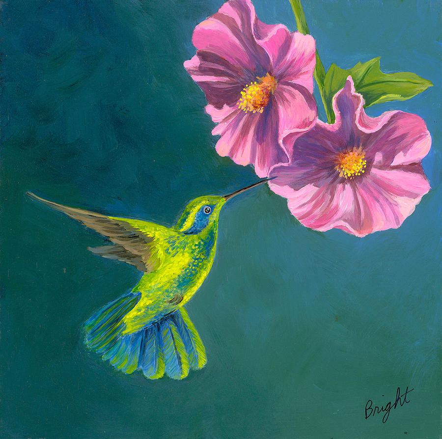 Costa Rican Hummingbird Painting by Radine Bright - Fine Art America