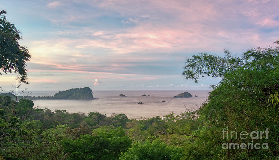 Costa Rican Pink Photograph by Brian Kamprath