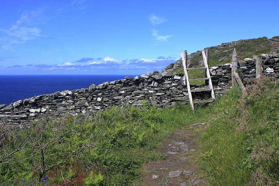 Costal Pathway on the Isle of Man Photograph by Aidan Moran