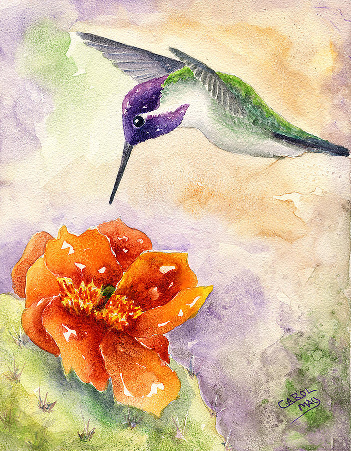 Costas Hummingbird Painting by Art by Carol May
