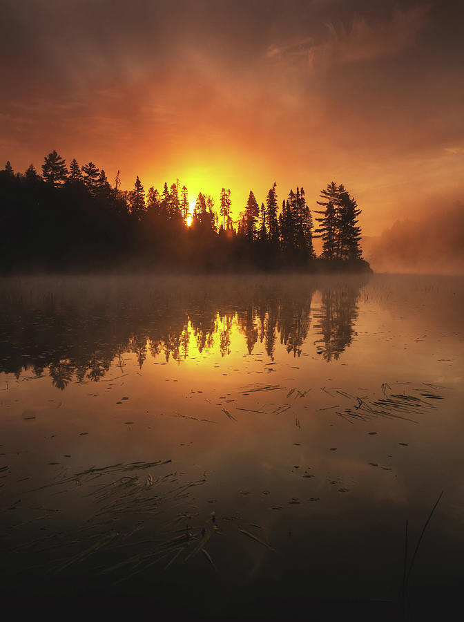 Costello Lake Sunrise Photograph By Cale Best Fine Art America 6119