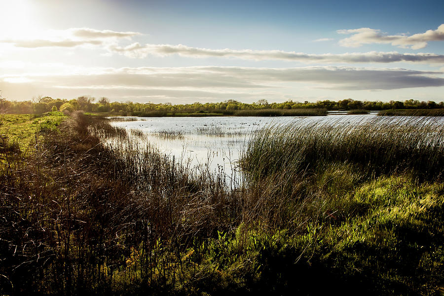 Cosumnes River Preserve Photograph by Gary Geddes