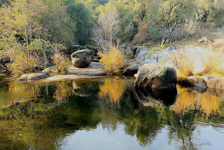 Nature Photograph - Cosumnes River by Sean Sarsfield