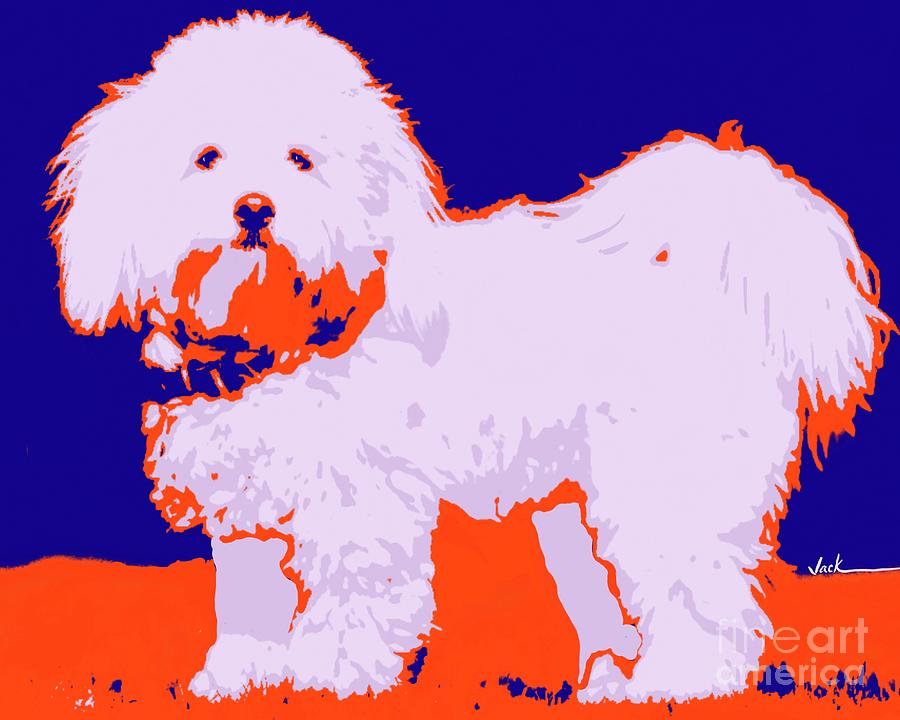 Dog Painting - Coton de Tulear by Jack Bunds Dog Painting - Coton de Tulear by Jack Bunds