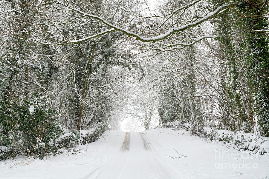 Cotswold Country Road in the Snow Photograph by Tim Gainey