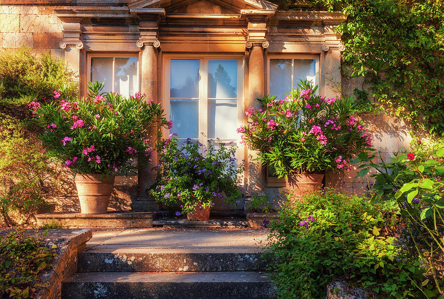 Cotswold Garden Photograph by Andrew Soundarajan
