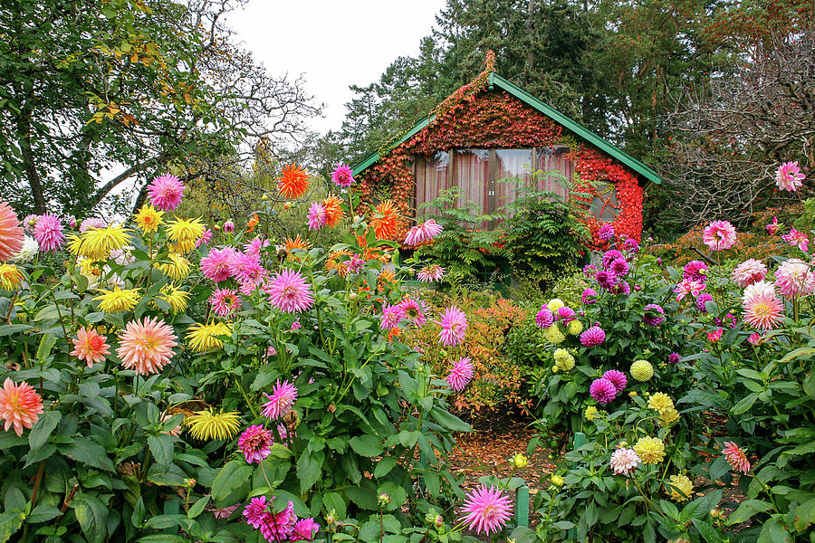 Cottage in the Garden Photograph by Jeff Speigner