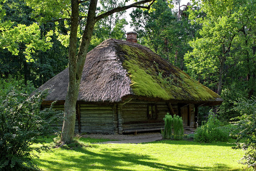 Cottage Surrounded By Greenery Photograph by Ren Kuljovska - Fine Art ...