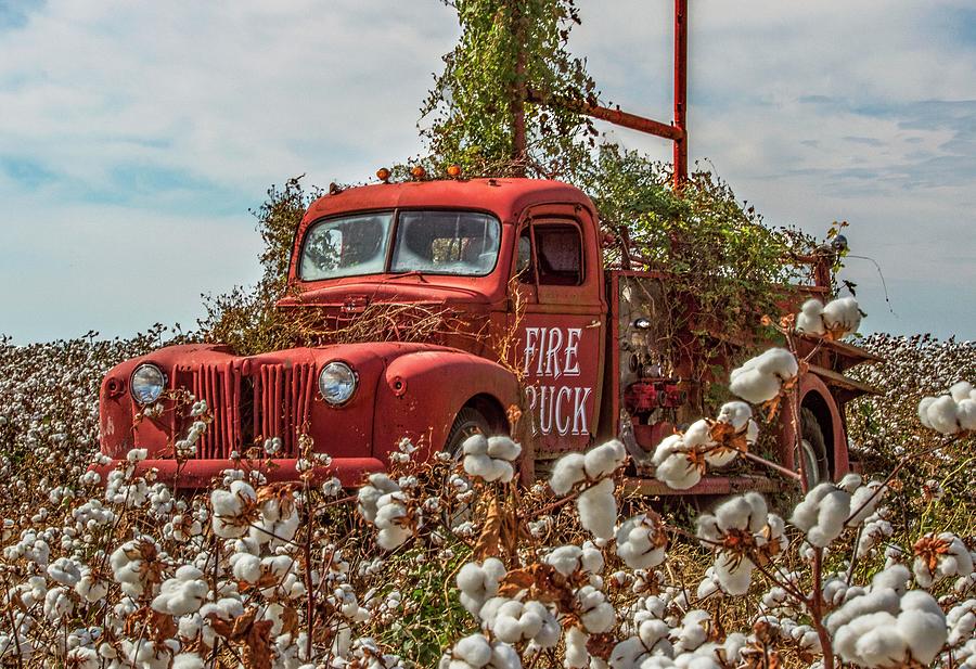 Michael Thomas Photograph - Cotton and Red Firetruck by Michael Thomas