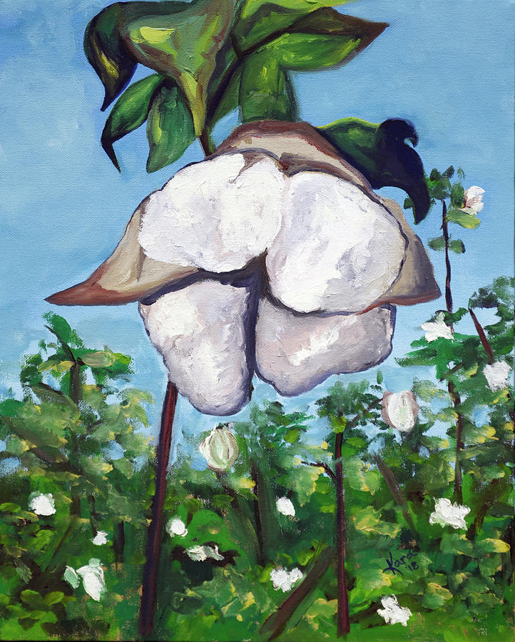 Cotton Bloom